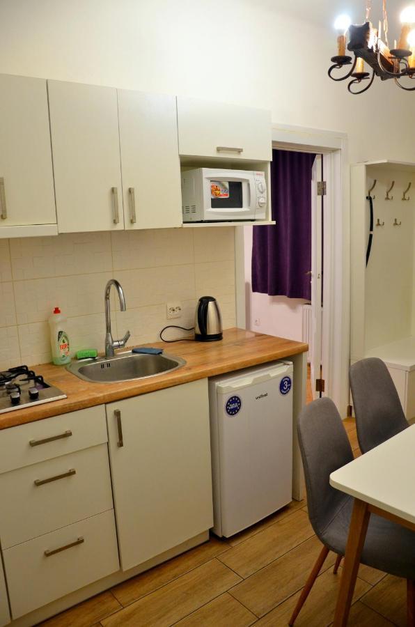 Brand New Apartment In City Center Lviv Ngoại thất bức ảnh